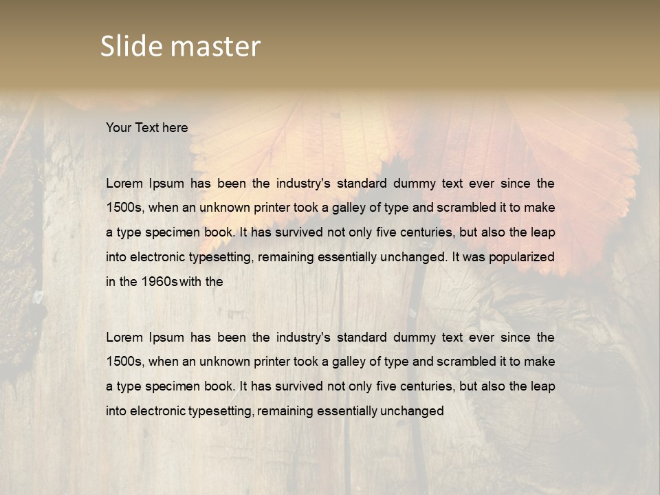 Empty Backdrop Wood PowerPoint Template