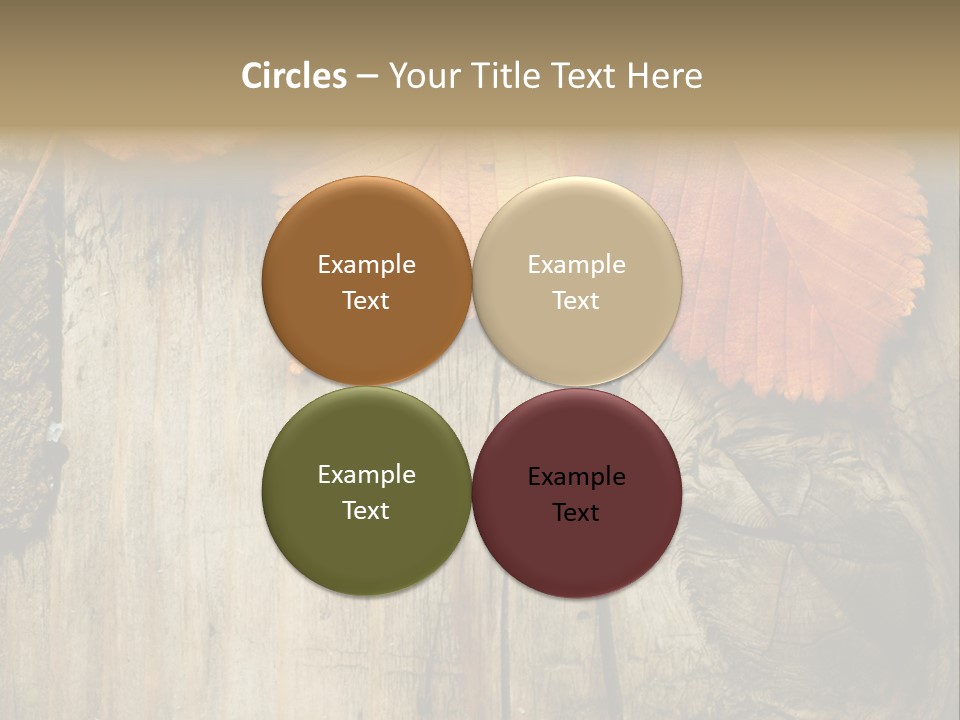 Empty Backdrop Wood PowerPoint Template