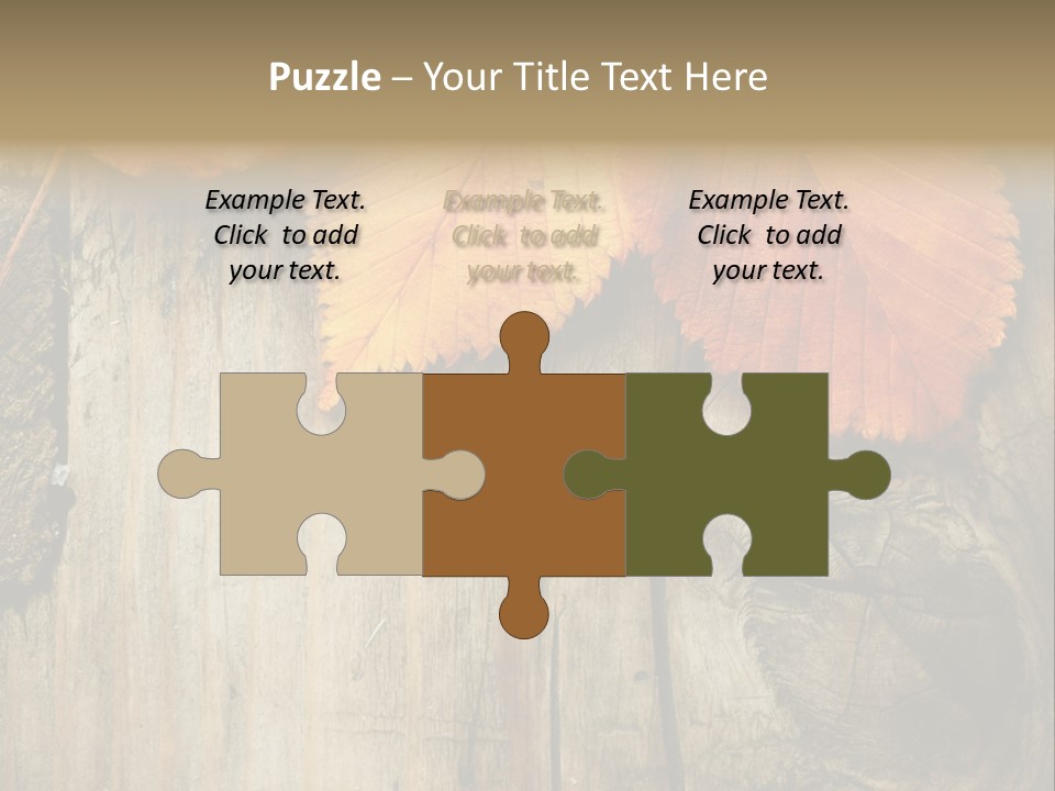 Empty Backdrop Wood PowerPoint Template