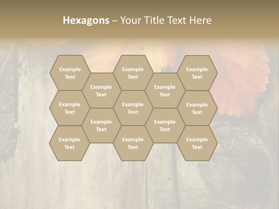 Empty Backdrop Wood PowerPoint Template