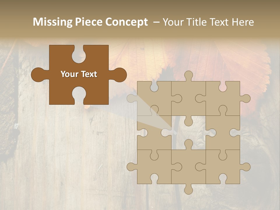 Empty Backdrop Wood PowerPoint Template