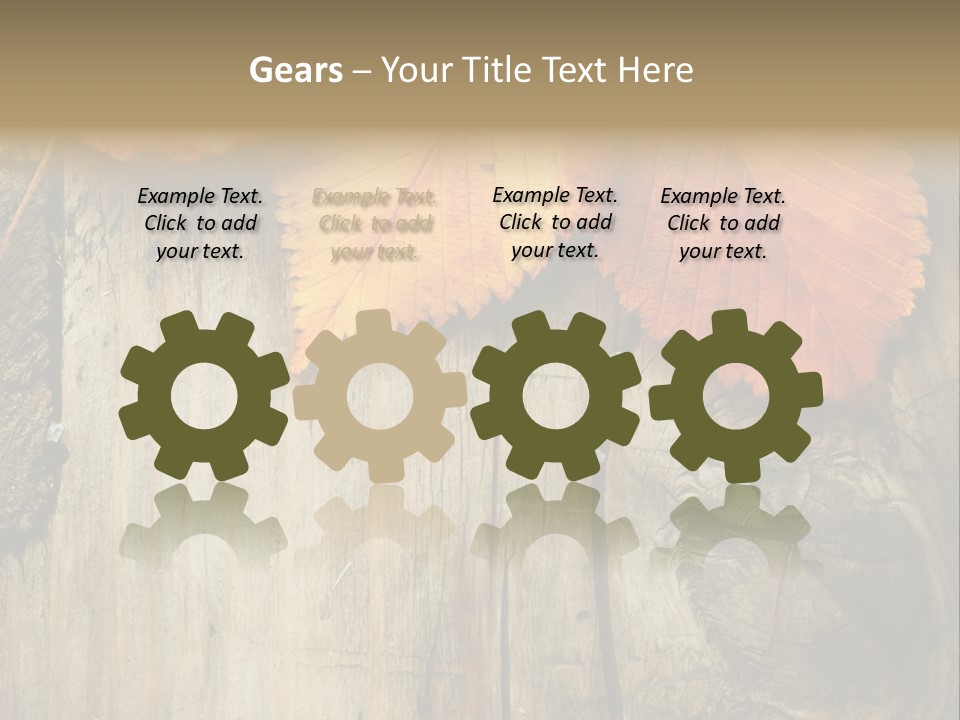 Empty Backdrop Wood PowerPoint Template