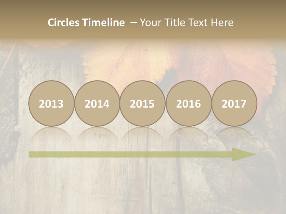 Empty Backdrop Wood PowerPoint Template