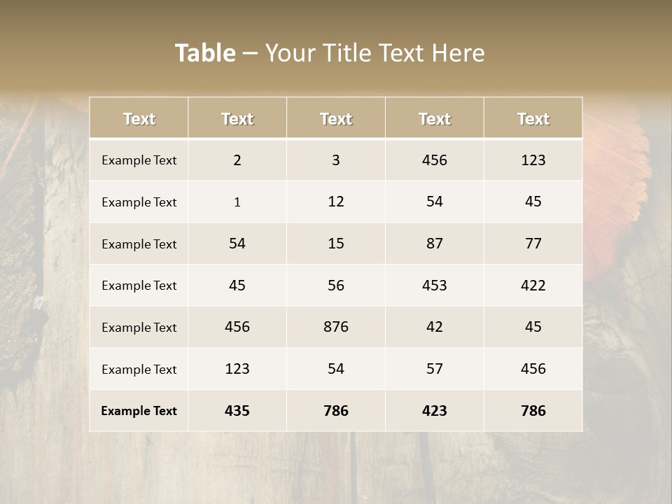 Empty Backdrop Wood PowerPoint Template