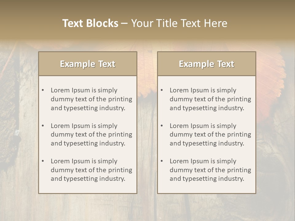 Empty Backdrop Wood PowerPoint Template