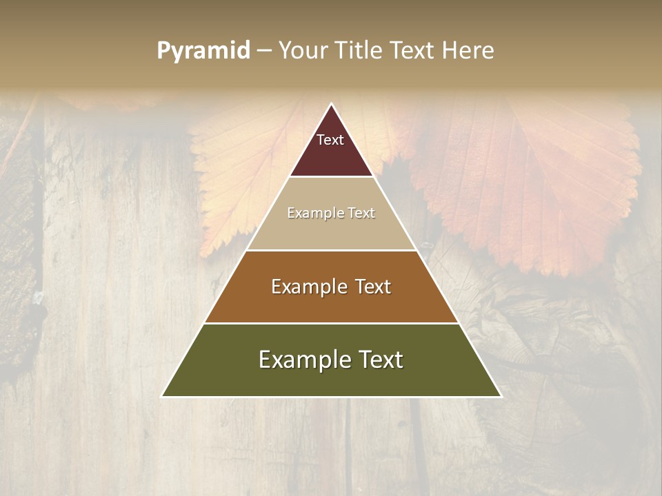 Empty Backdrop Wood PowerPoint Template