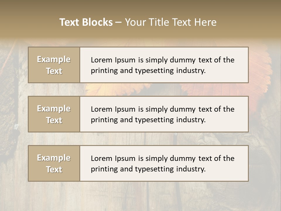 Empty Backdrop Wood PowerPoint Template
