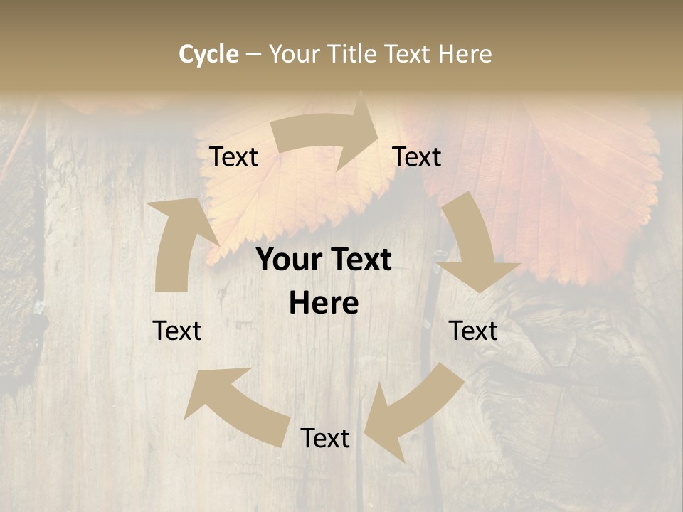 Empty Backdrop Wood PowerPoint Template