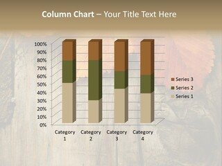 Empty Backdrop Wood PowerPoint Template