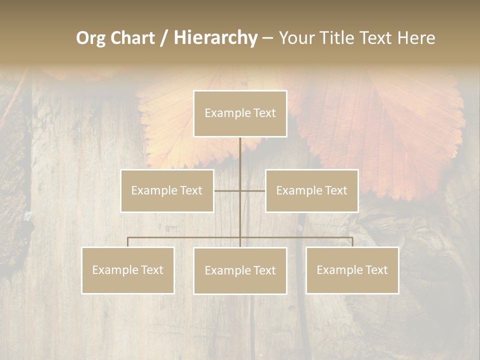 Empty Backdrop Wood PowerPoint Template