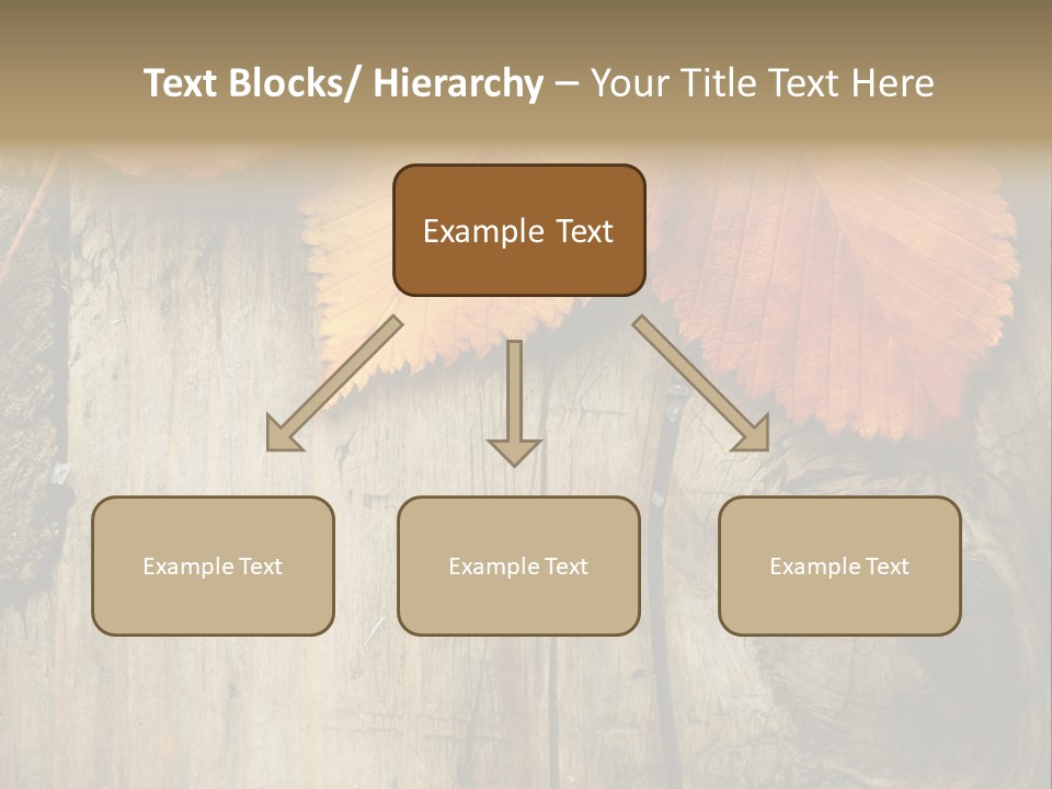 Empty Backdrop Wood PowerPoint Template
