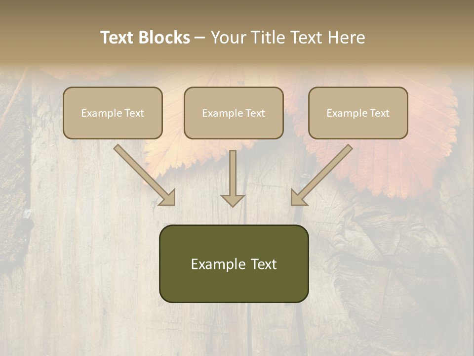 Empty Backdrop Wood PowerPoint Template