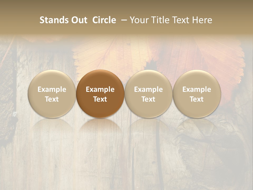 Empty Backdrop Wood PowerPoint Template