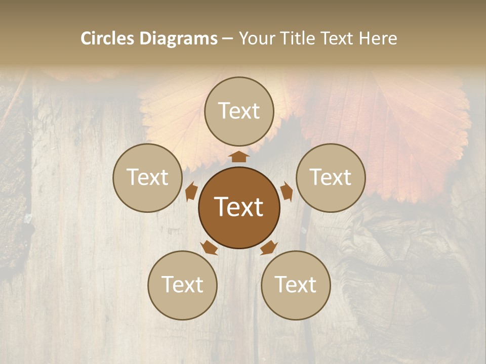 Empty Backdrop Wood PowerPoint Template