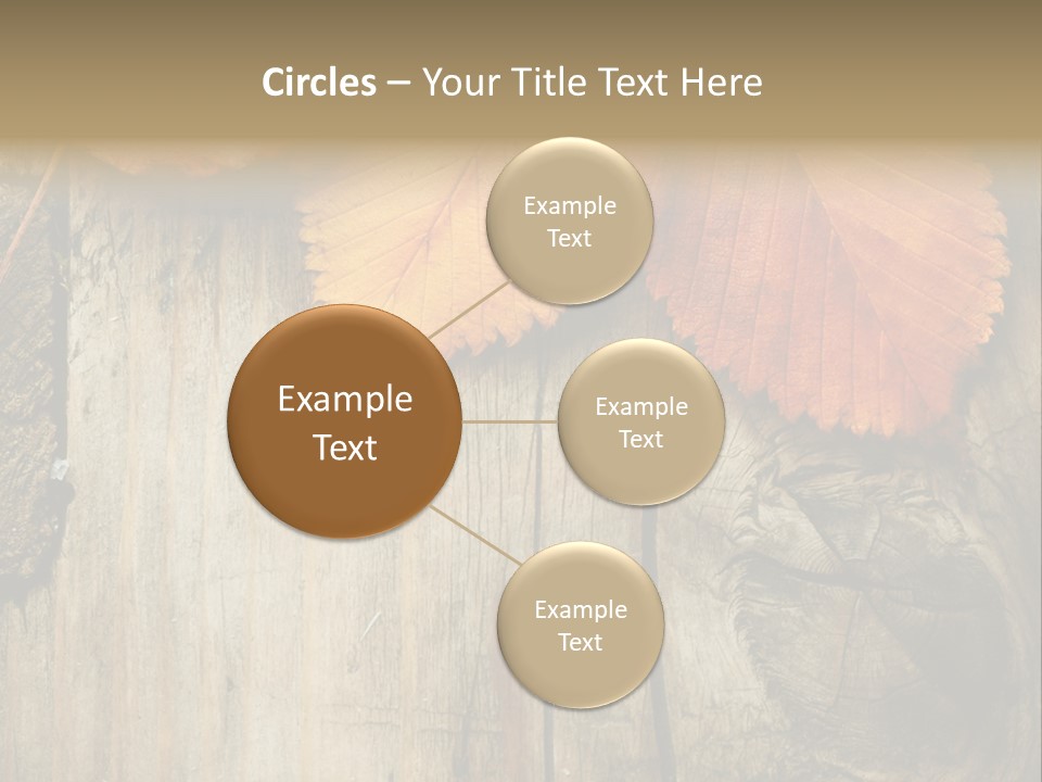 Empty Backdrop Wood PowerPoint Template