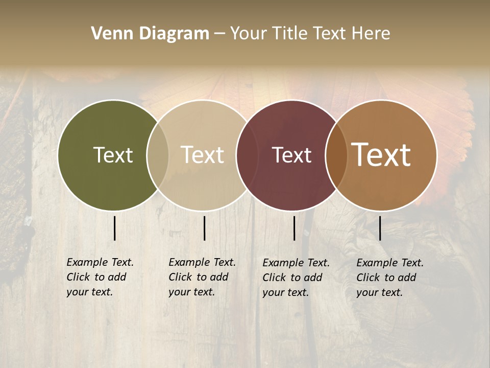 Empty Backdrop Wood PowerPoint Template