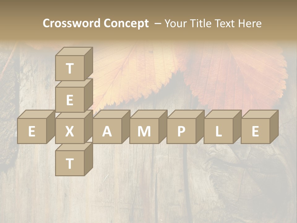 Empty Backdrop Wood PowerPoint Template
