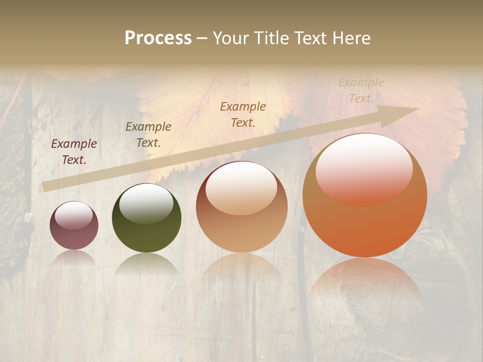 Empty Backdrop Wood PowerPoint Template