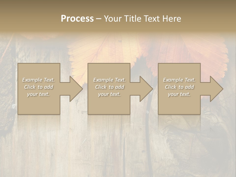 Empty Backdrop Wood PowerPoint Template