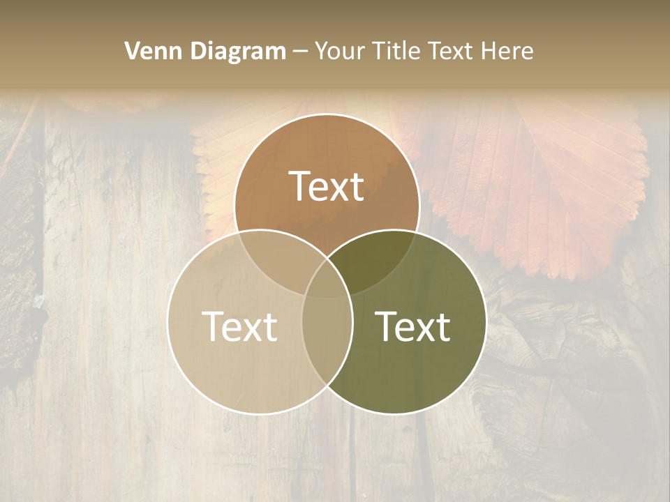 Empty Backdrop Wood PowerPoint Template