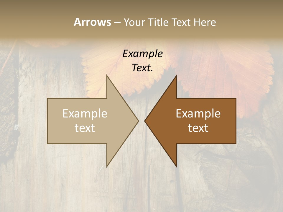 Empty Backdrop Wood PowerPoint Template