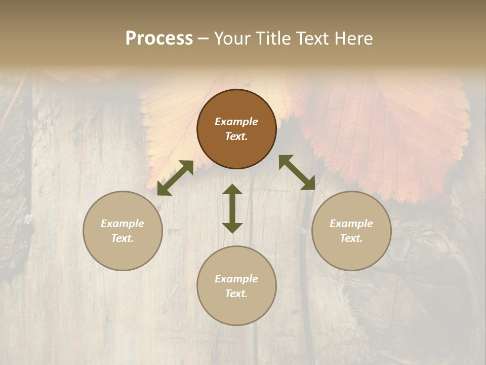 Empty Backdrop Wood PowerPoint Template