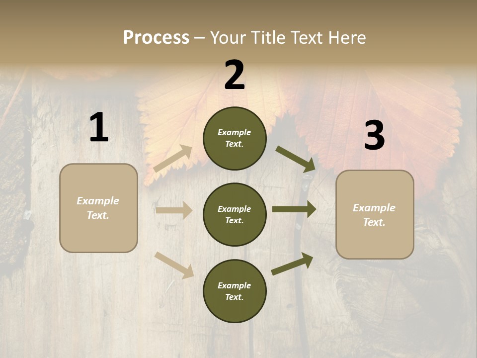 Empty Backdrop Wood PowerPoint Template