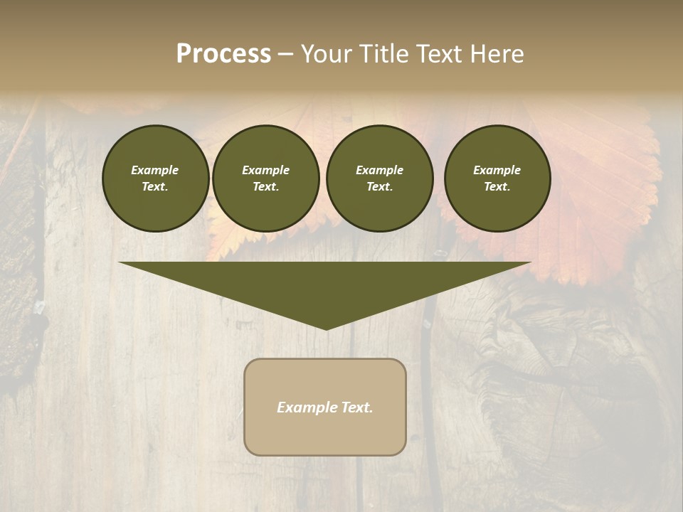 Empty Backdrop Wood PowerPoint Template