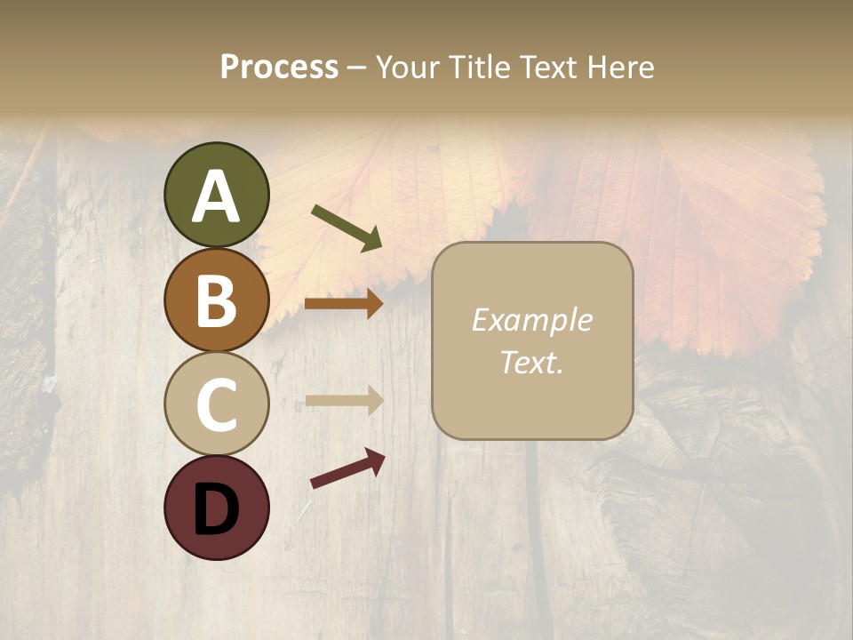 Empty Backdrop Wood PowerPoint Template