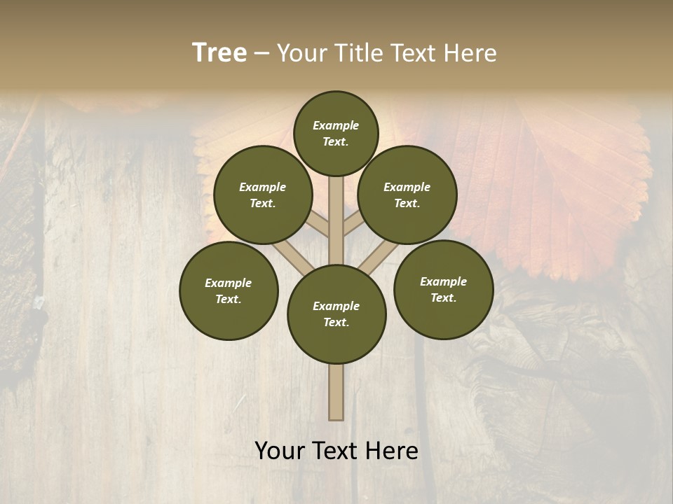 Empty Backdrop Wood PowerPoint Template