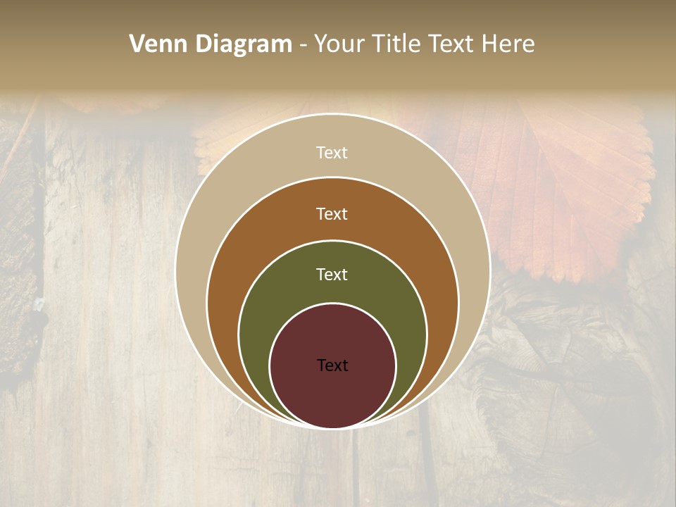 Empty Backdrop Wood PowerPoint Template