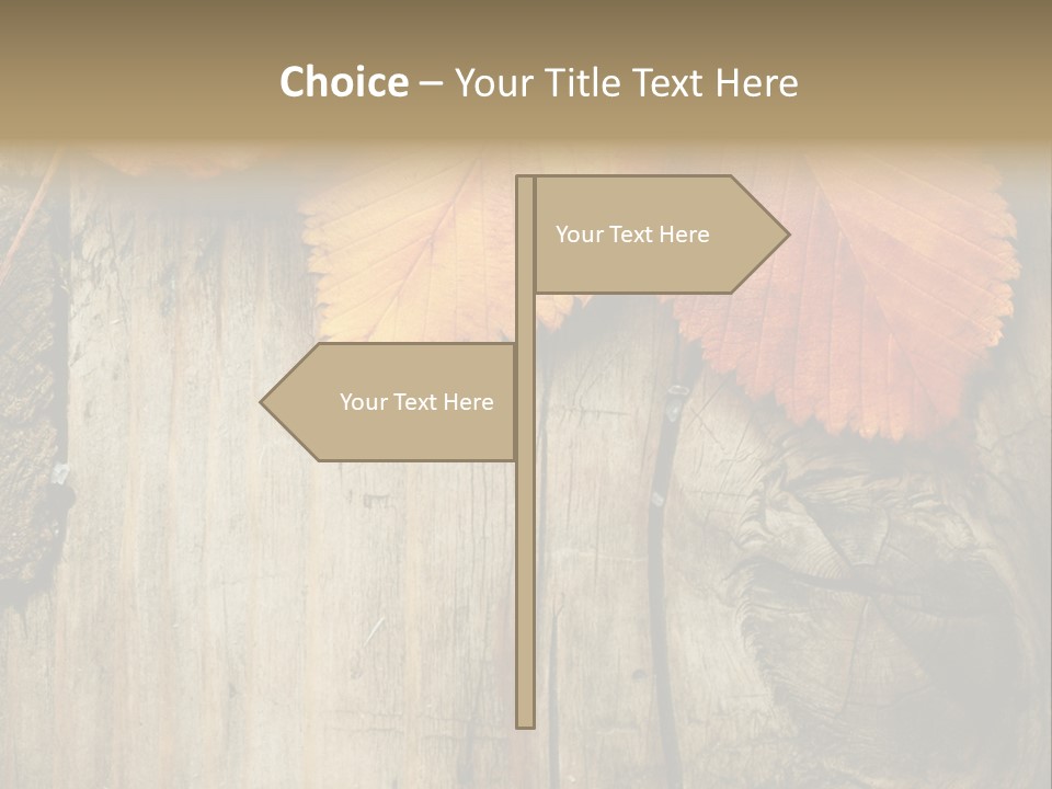 Empty Backdrop Wood PowerPoint Template