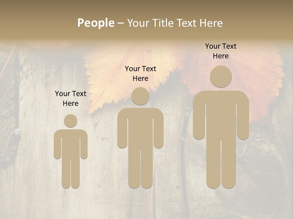 Empty Backdrop Wood PowerPoint Template