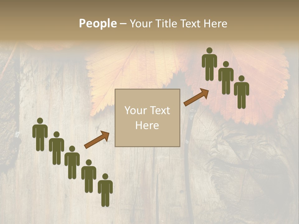 Empty Backdrop Wood PowerPoint Template