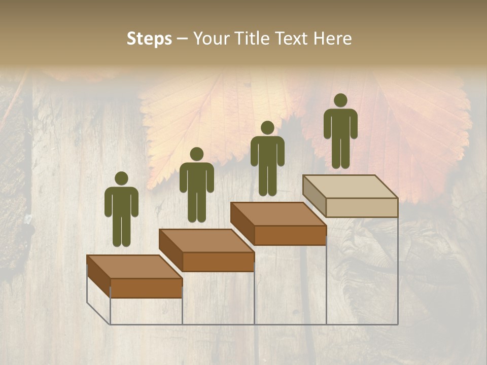 Empty Backdrop Wood PowerPoint Template