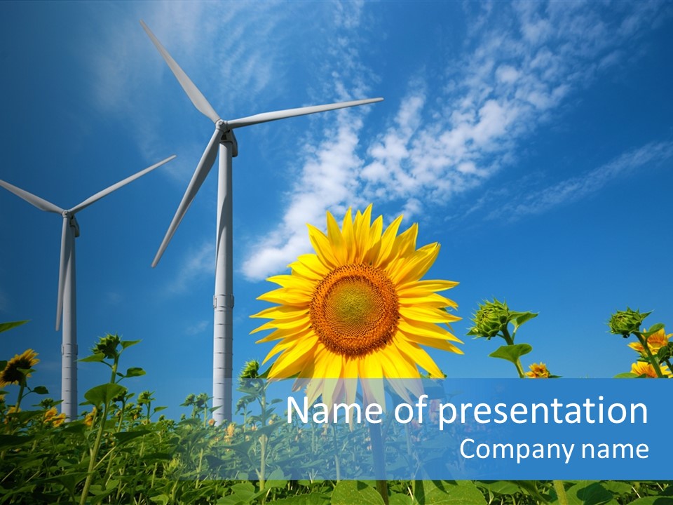 Mill Eco Yellow PowerPoint Template