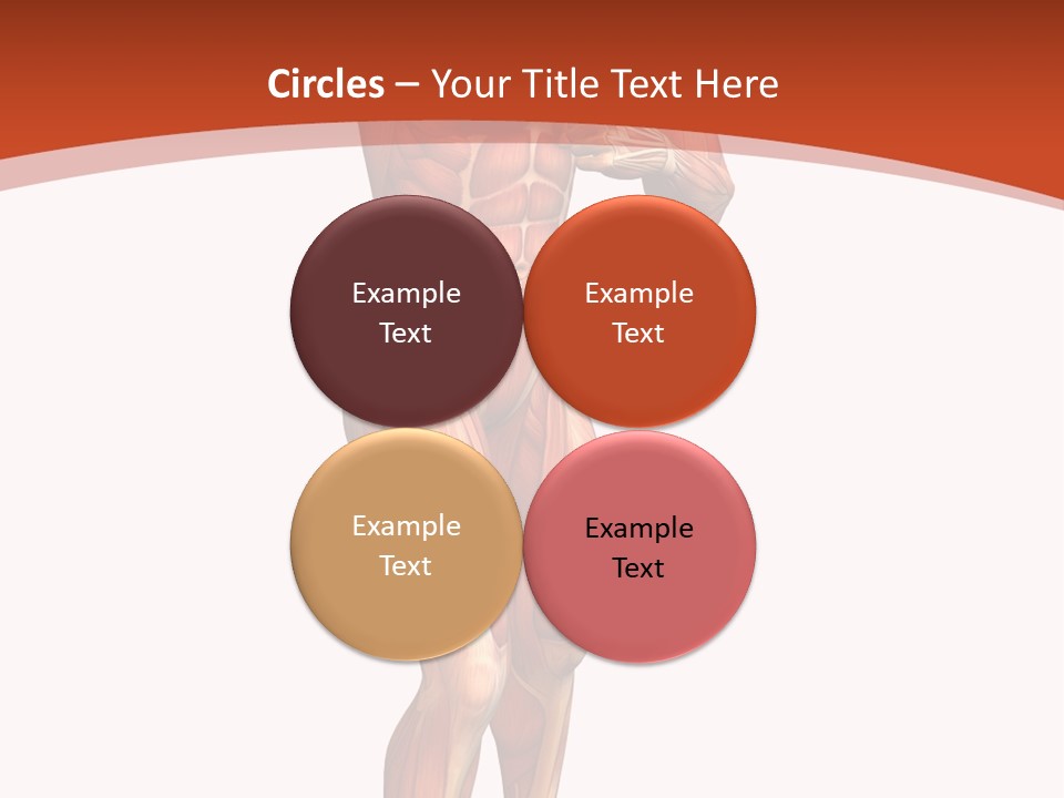 Fitness Health Thorax PowerPoint Template