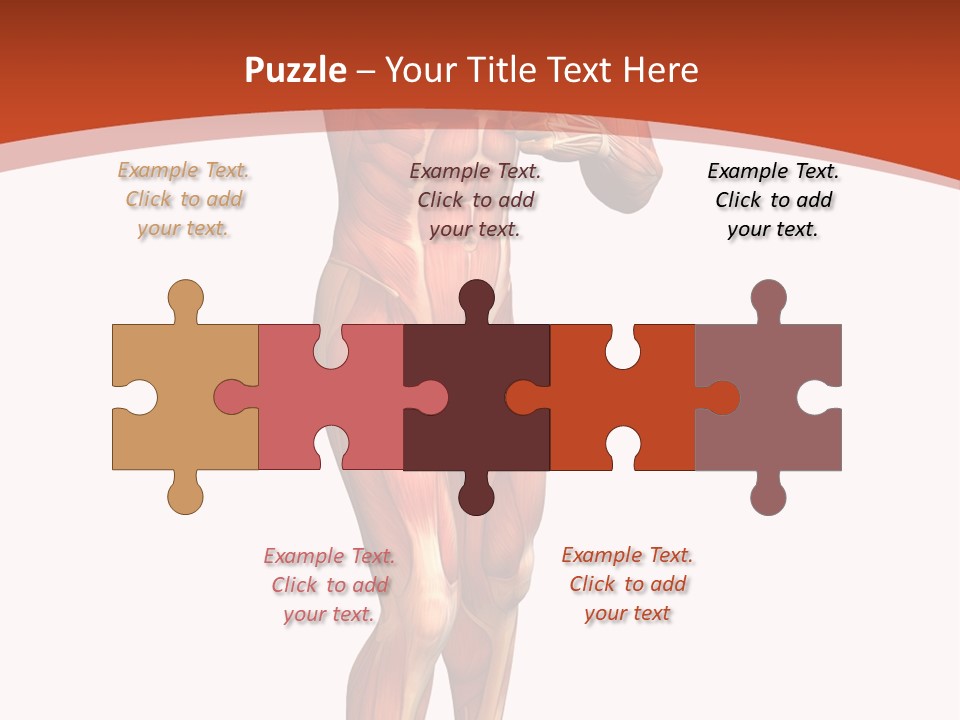 Fitness Health Thorax PowerPoint Template