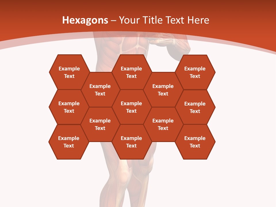 Fitness Health Thorax PowerPoint Template