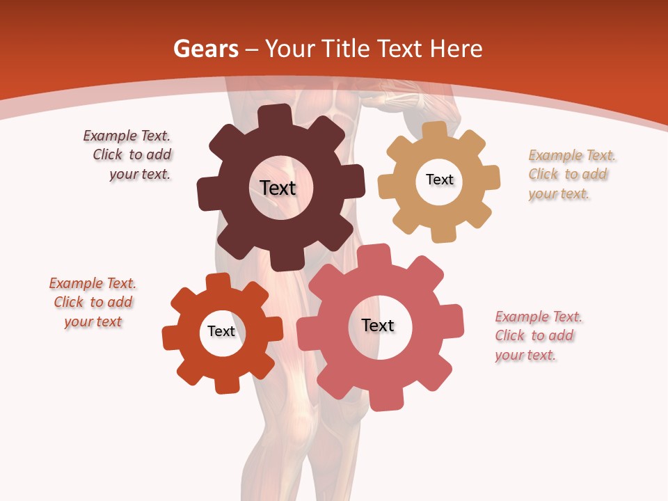 Fitness Health Thorax PowerPoint Template