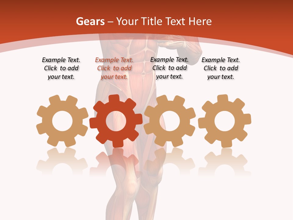 Fitness Health Thorax PowerPoint Template