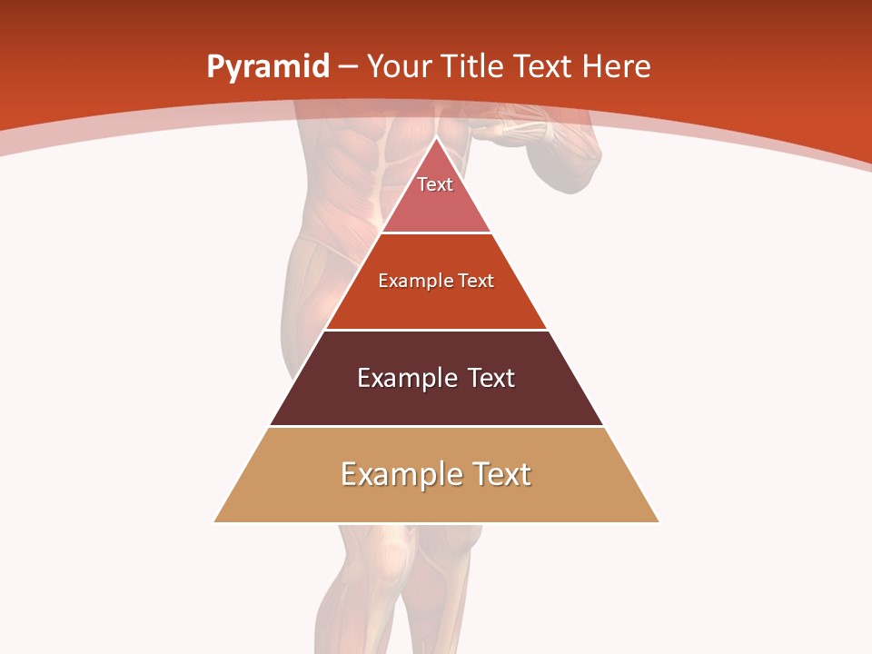 Fitness Health Thorax PowerPoint Template