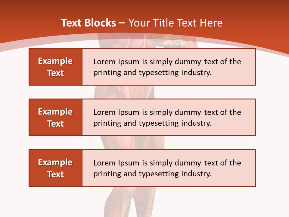 Fitness Health Thorax PowerPoint Template