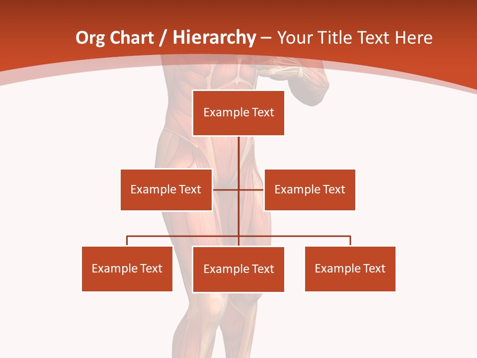 Fitness Health Thorax PowerPoint Template