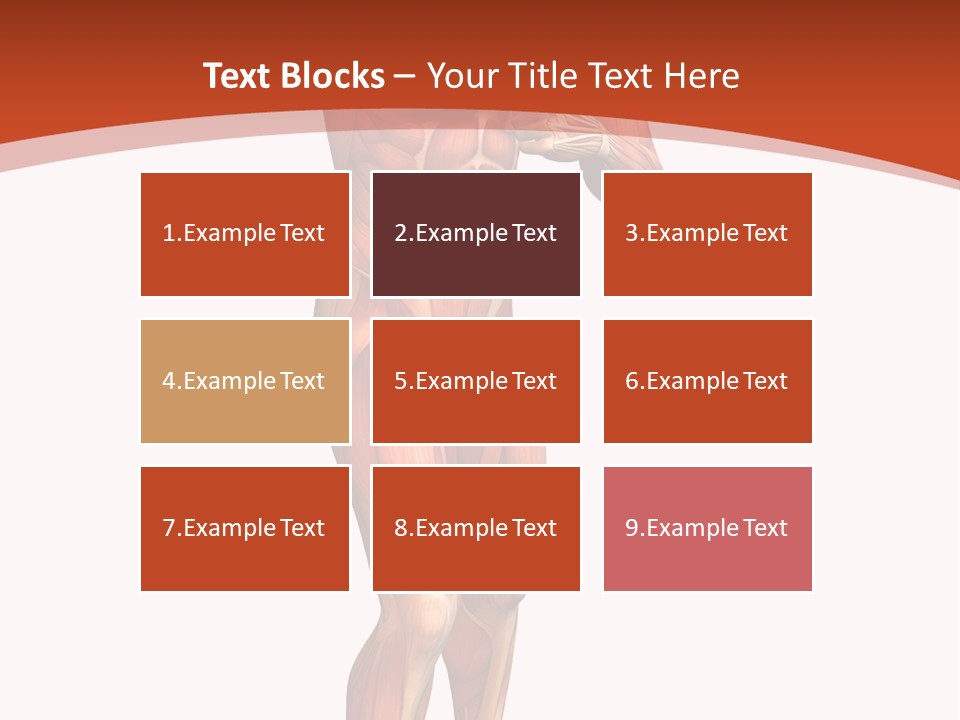 Fitness Health Thorax PowerPoint Template