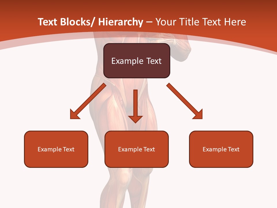 Fitness Health Thorax PowerPoint Template