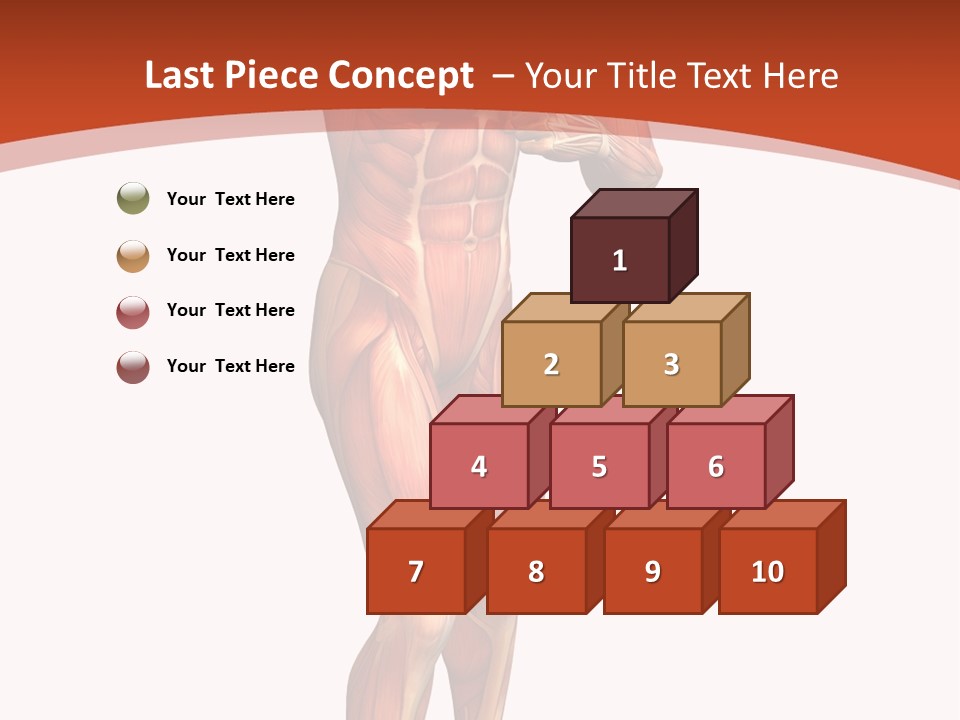 Fitness Health Thorax PowerPoint Template