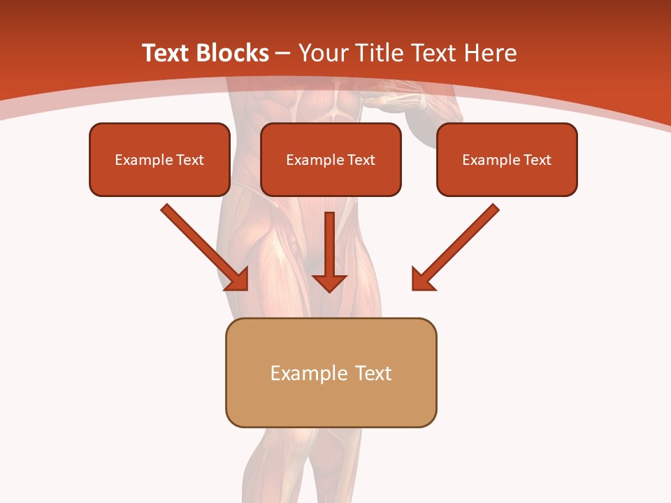 Fitness Health Thorax PowerPoint Template