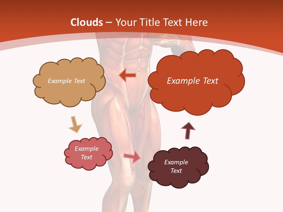 Fitness Health Thorax PowerPoint Template