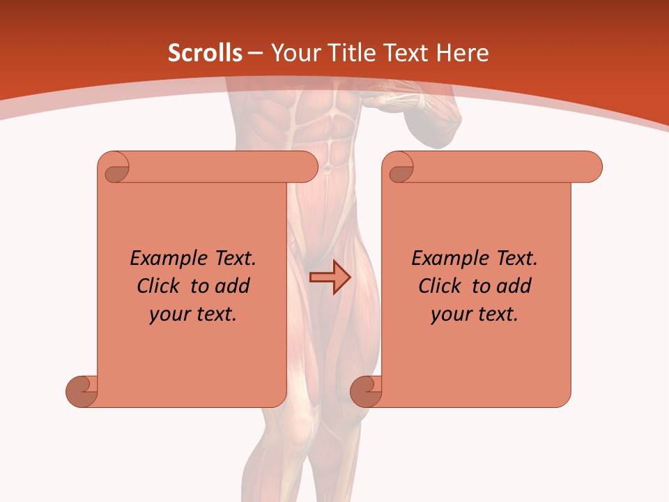 Fitness Health Thorax PowerPoint Template